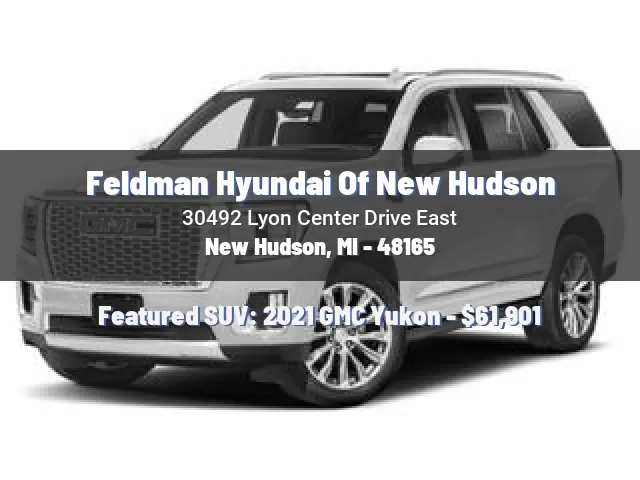 Feldman Hyundai Of New Hudson