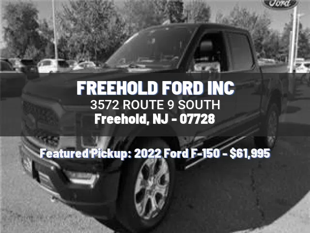 FREEHOLD FORD INC