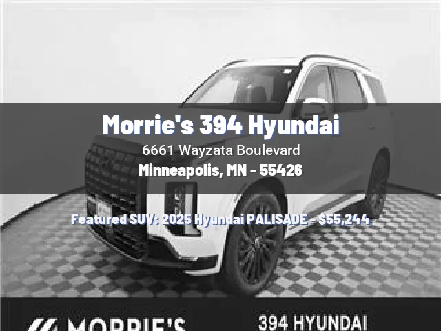 Morrie's 394 Hyundai