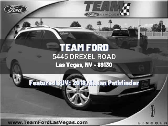 TEAM FORD